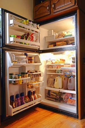 fridge