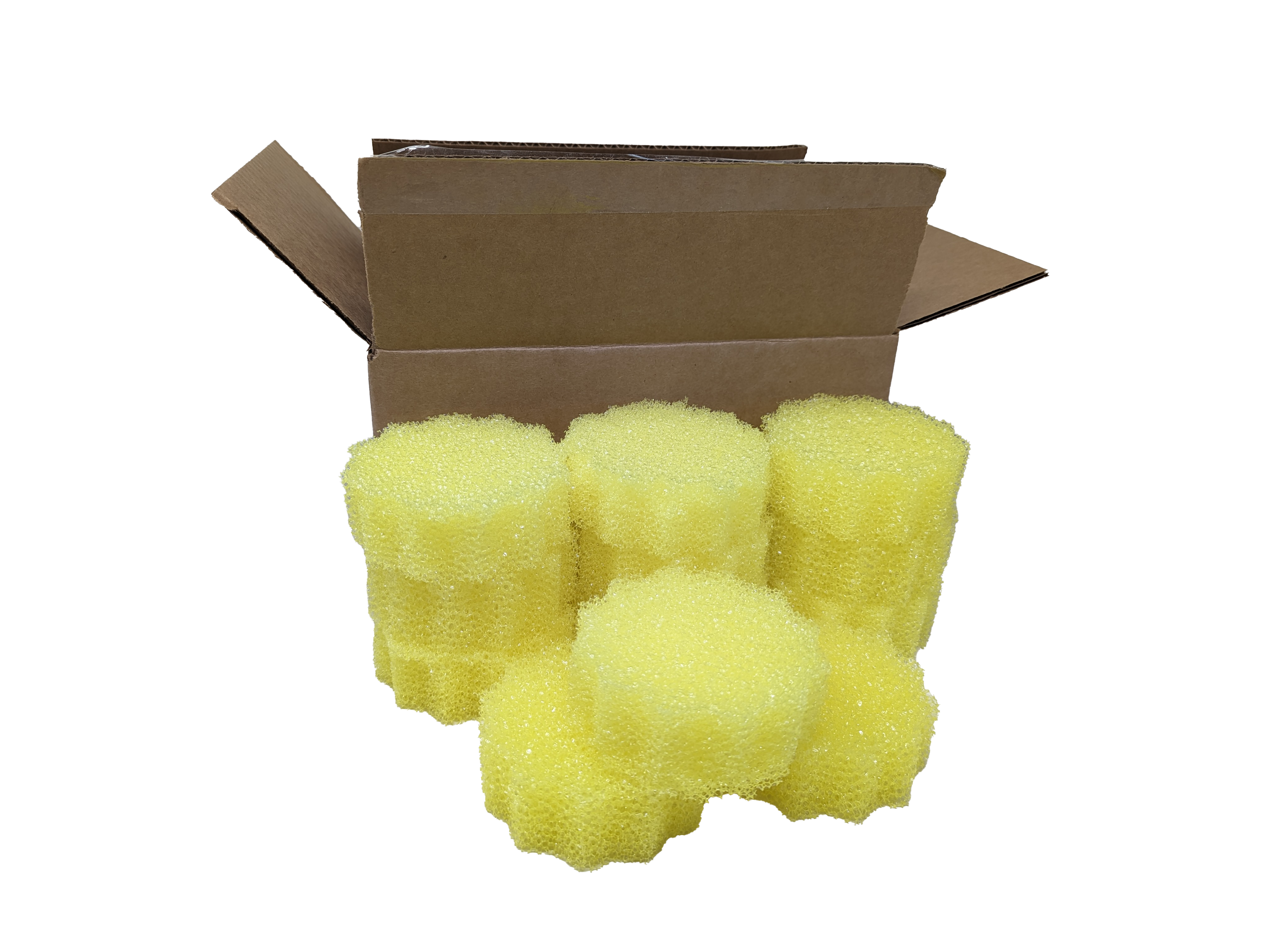 https://www.spongeoutlet.com/wp-content/uploads/2023/08/PXL_20230811_164440967.png